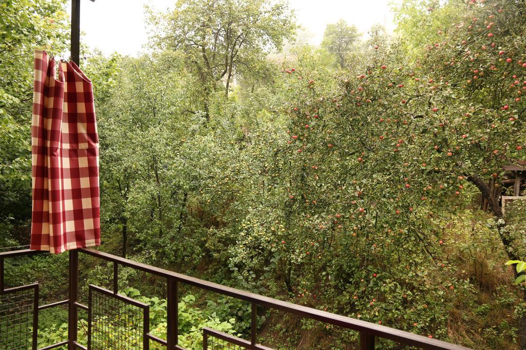 Dilbo House Hotell Dilijan Exteriör bild